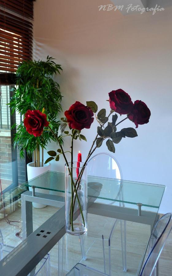 Amazing Frontal Beach Apartment #Traveller'S Awards2023 كاديز المظهر الخارجي الصورة